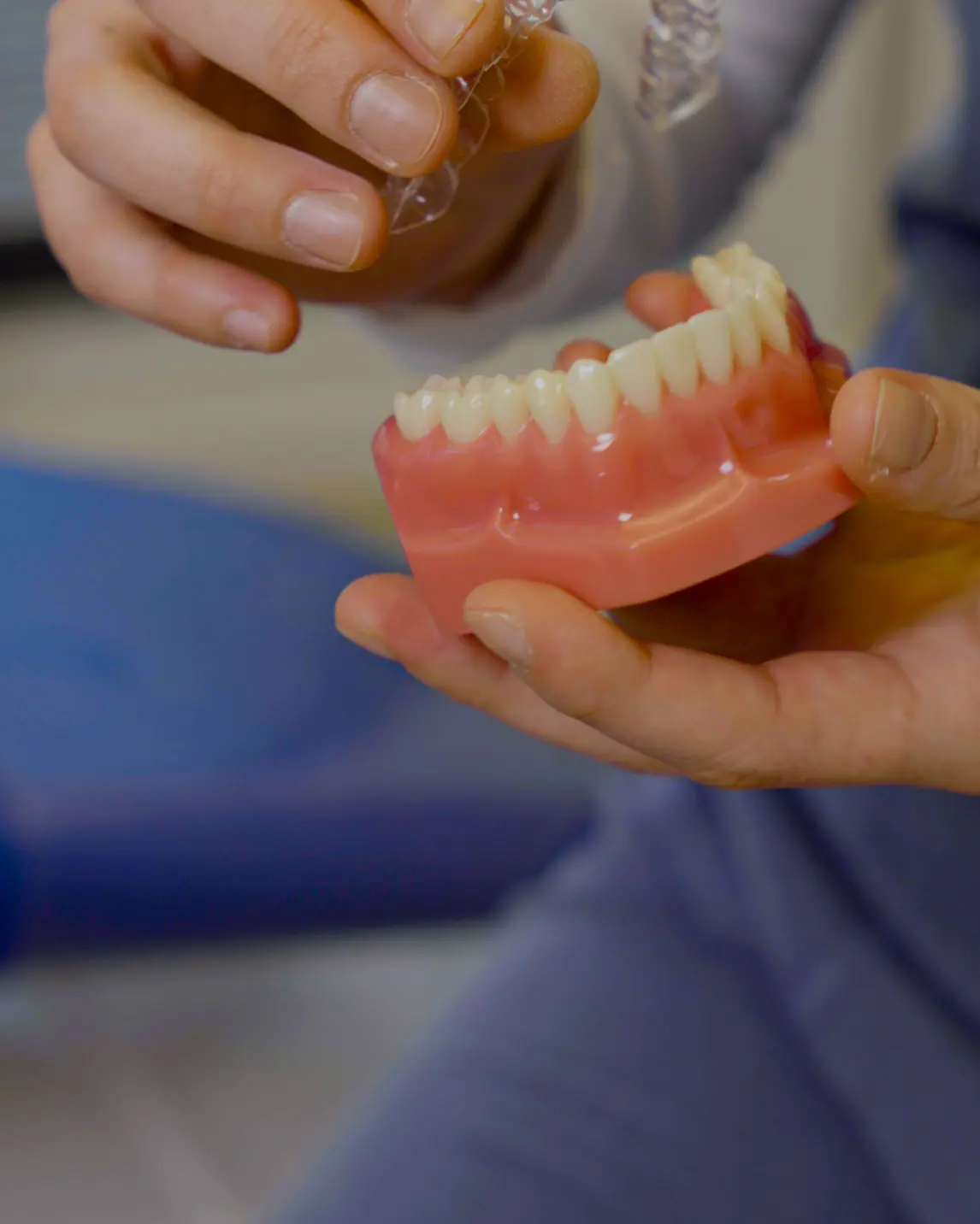 Le mani di una dentista dello studio tengono il modello di un'arcata completa, coi denti e la gengiva